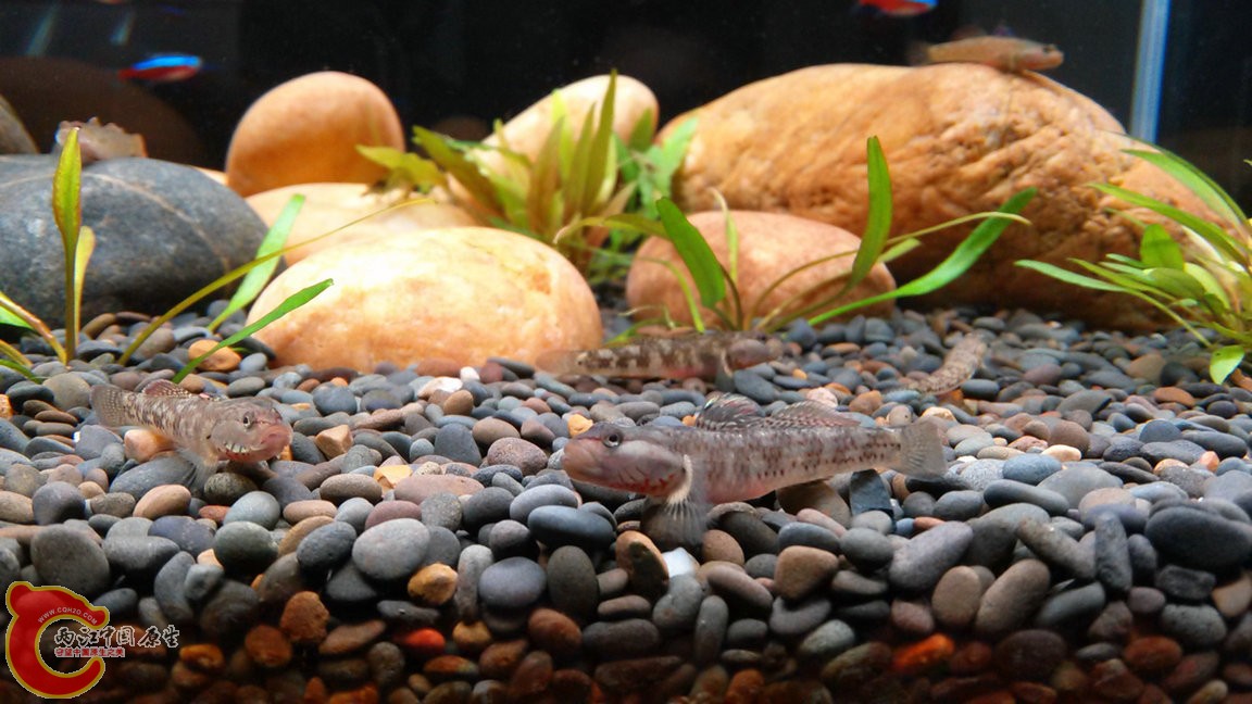 IMG20141101171928_副本.jpg