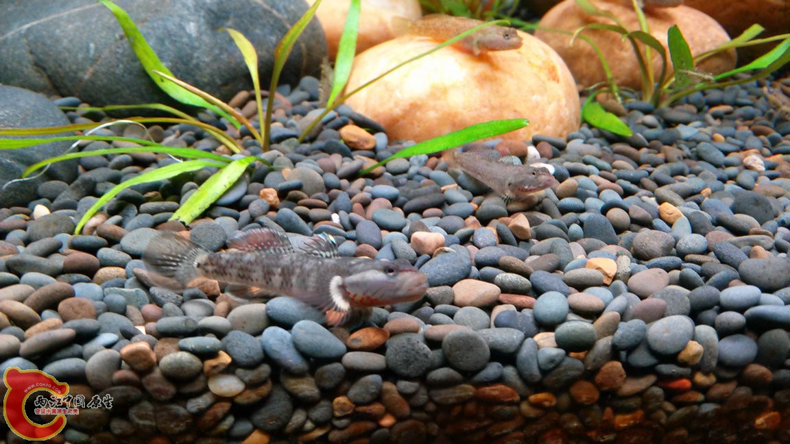 IMG20141101172400_副本.jpg