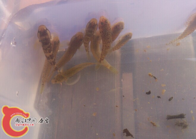 QQ图片20141103005610.jpg
