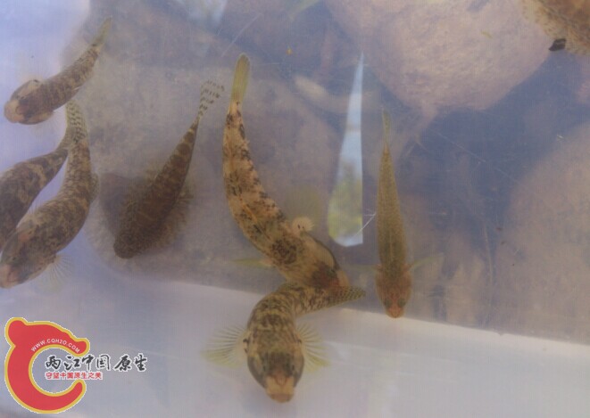 QQ图片20141103005445.jpg