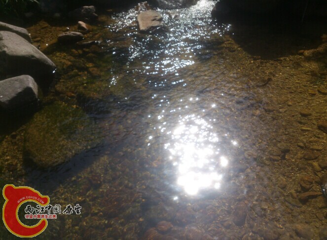 QQ图片20141103005320.jpg