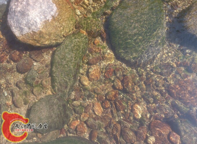QQ图片20141103005259.jpg