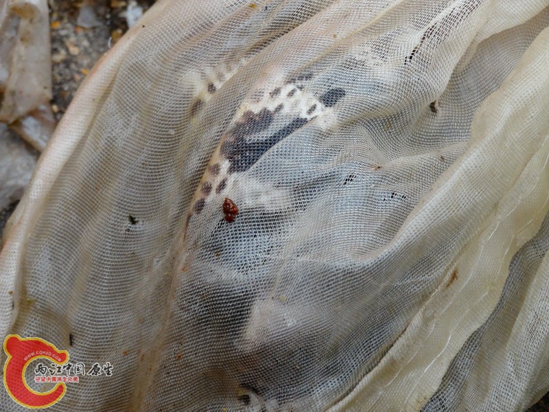 DSC01110.jpg