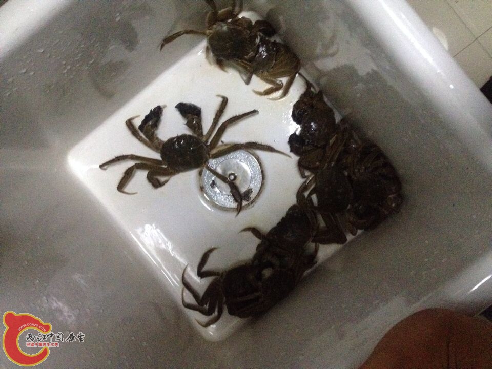QQ图片20141107100630.jpg