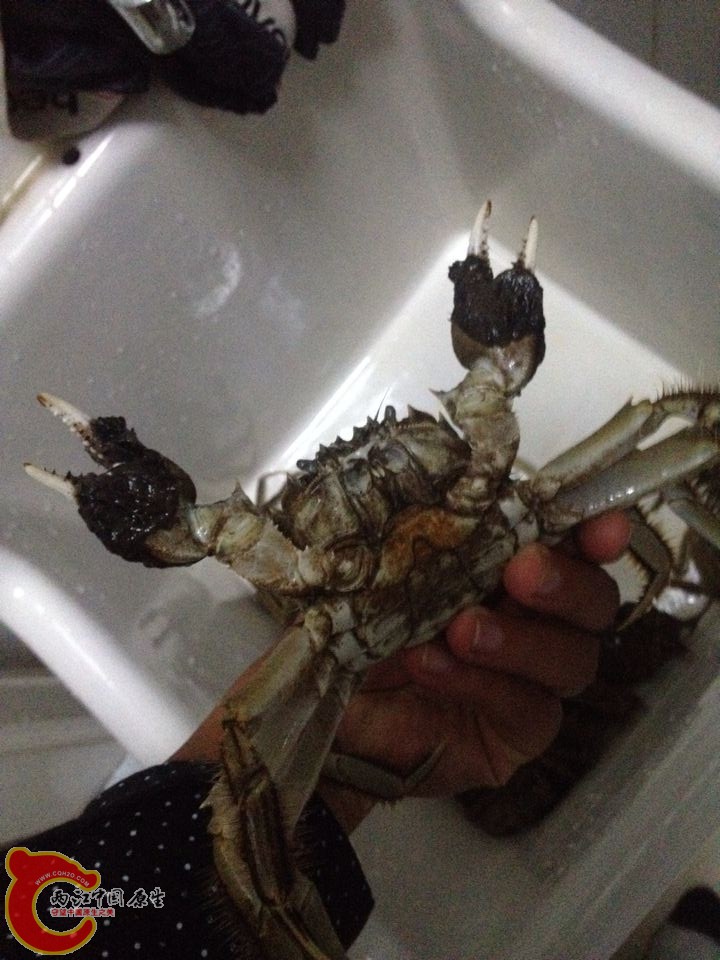 QQ图片20141107100627.jpg