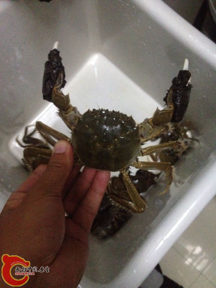 QQ图片20141107100616.jpg