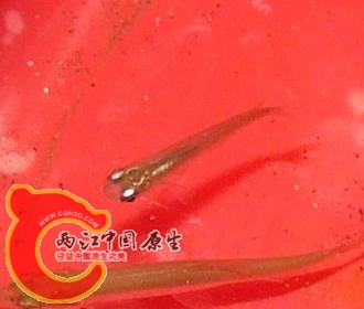P1220390_副本.jpg