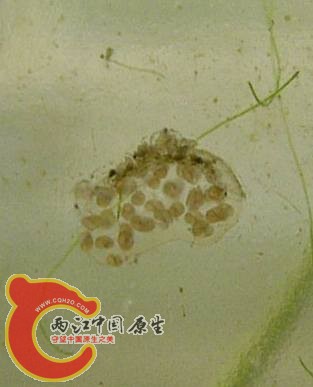 P1220425_副本.jpg