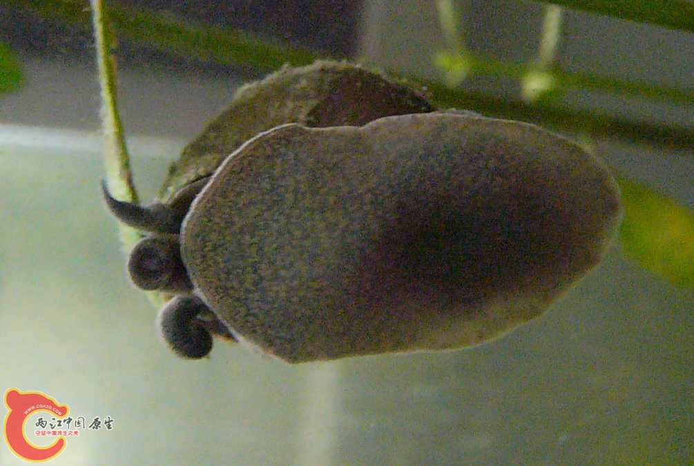 P1220476_副本.jpg