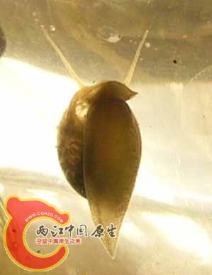 P1220480_副本.jpg