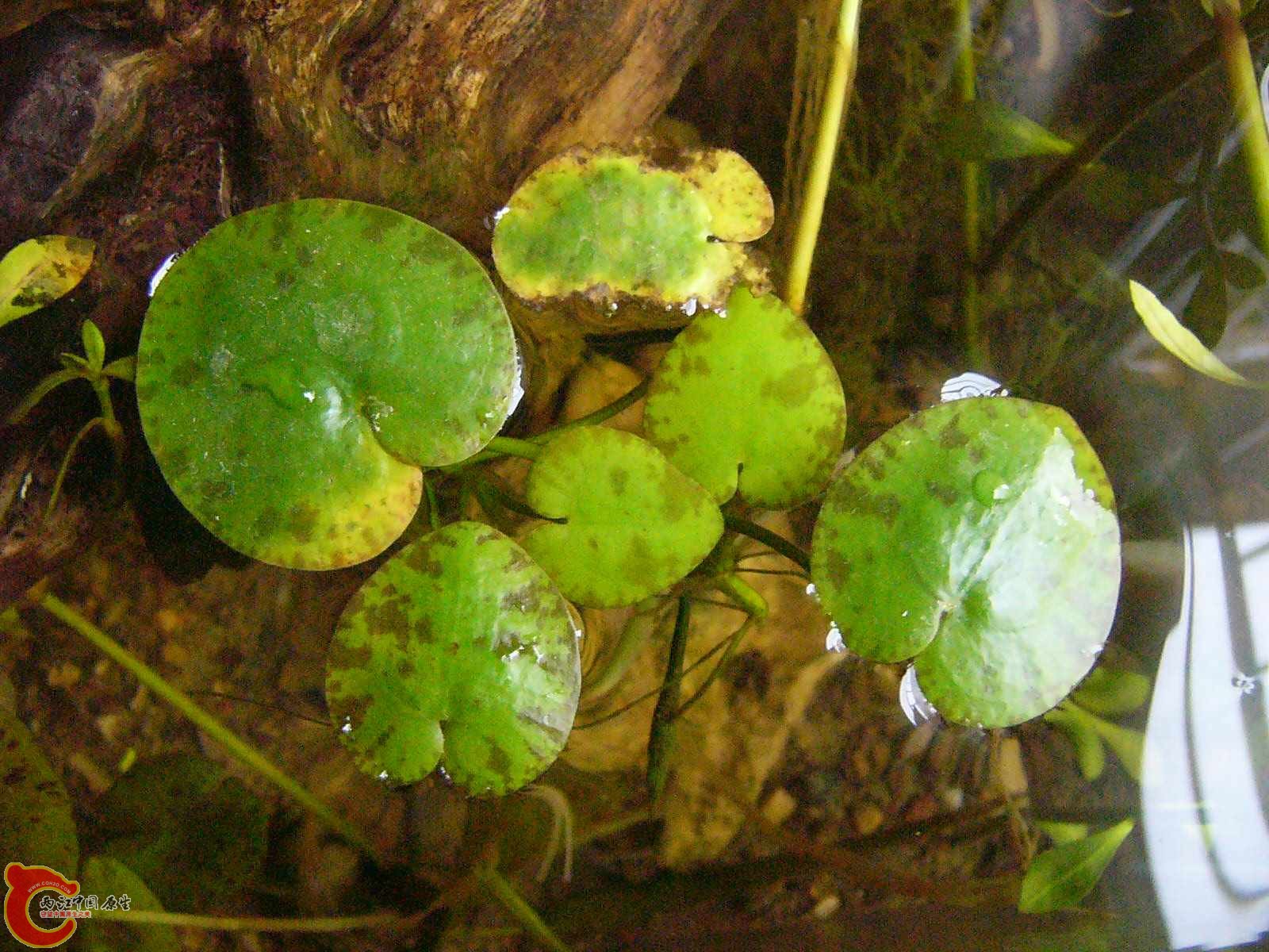 P1220474_副本.jpg