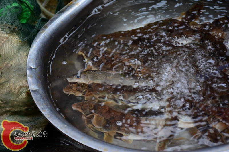 DSC_0165.jpg