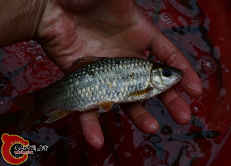 DSC_0175.jpg