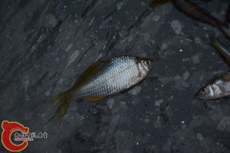 DSC_0179.jpg