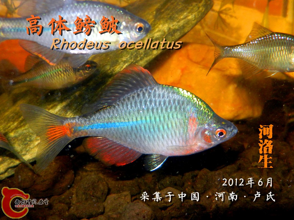 DSCN4378.jpg