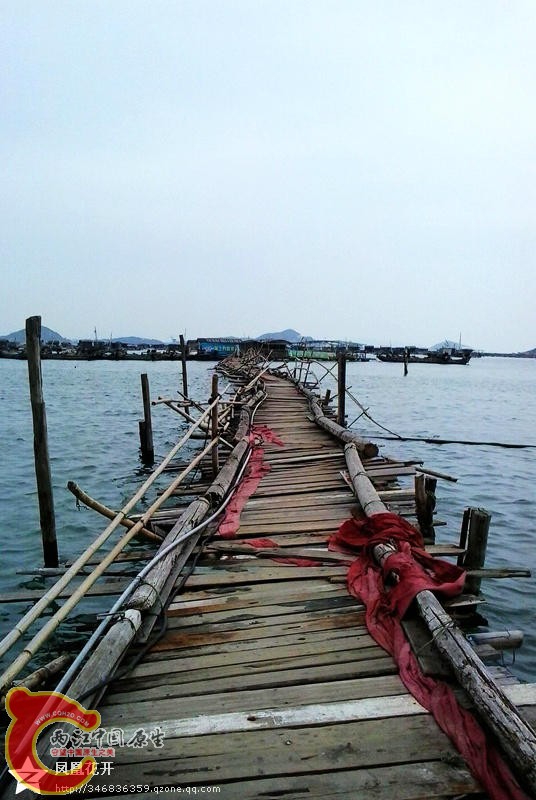 89.jpg