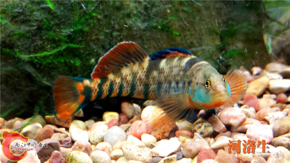 20140415_215907.jpg