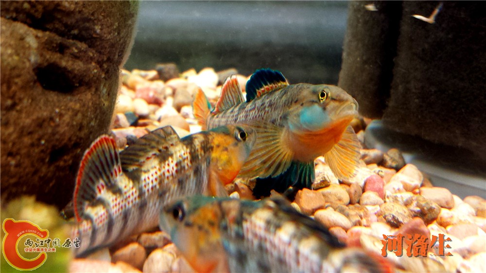 20140415_230004.jpg