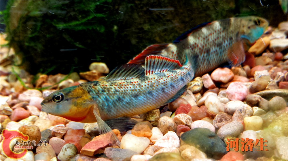 20140415_220057.jpg