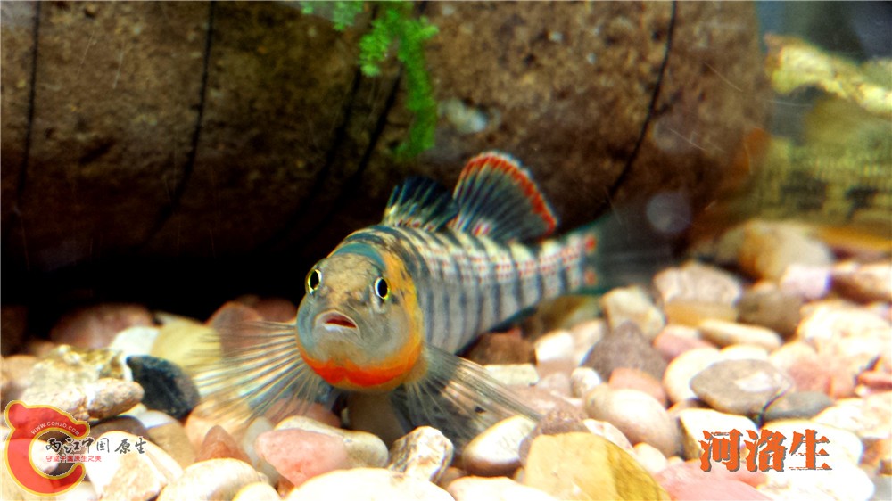 20140415_225521.jpg