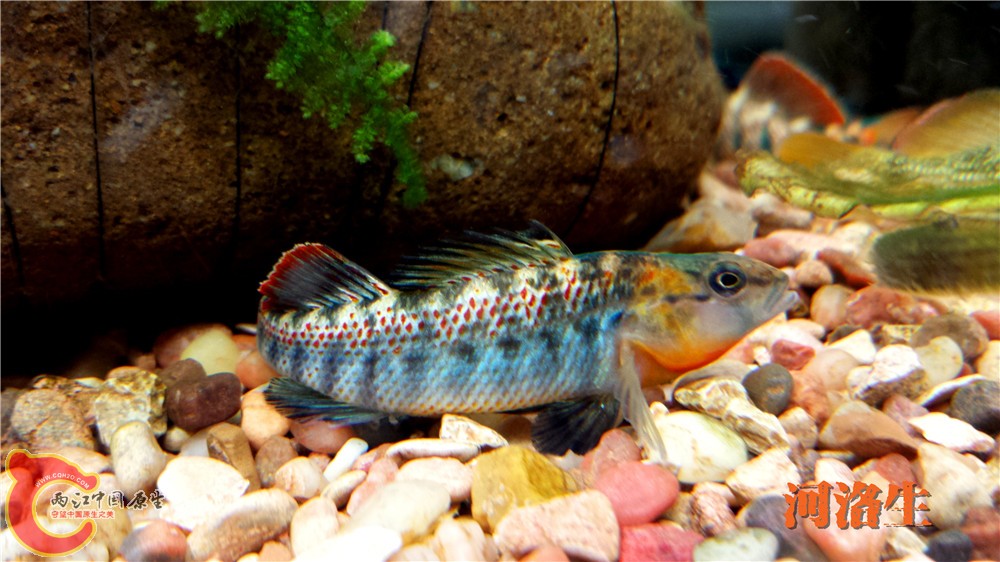 20140416_001938.jpg