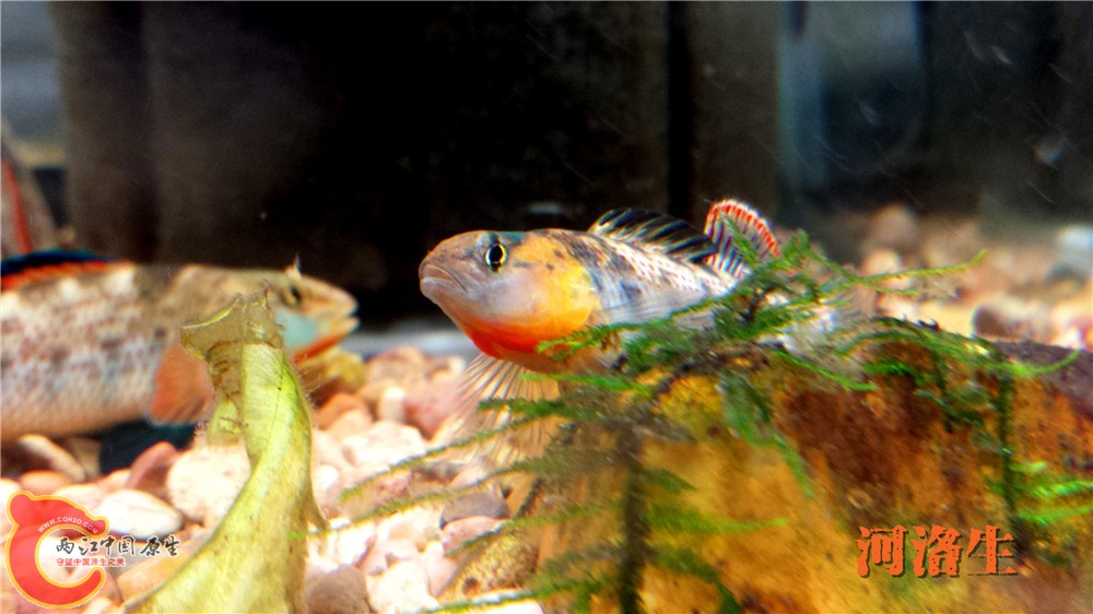 20140416_002012.jpg