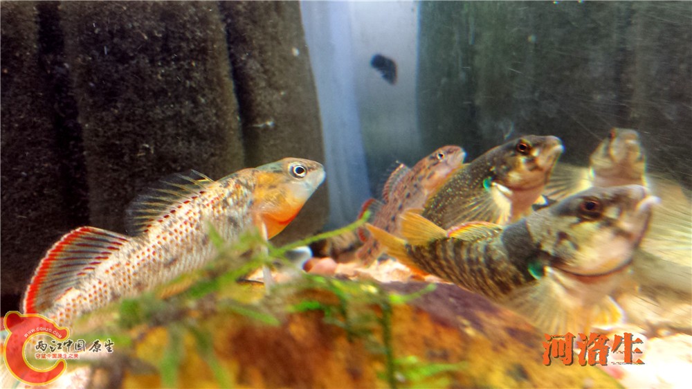 20140416_193828.jpg