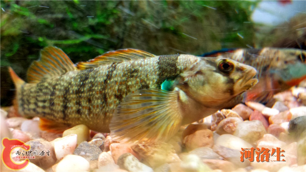 20140415_222431.jpg