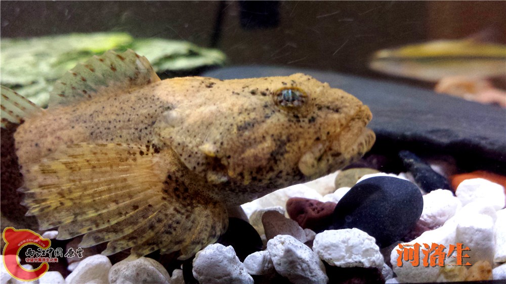 20140418_224344.jpg