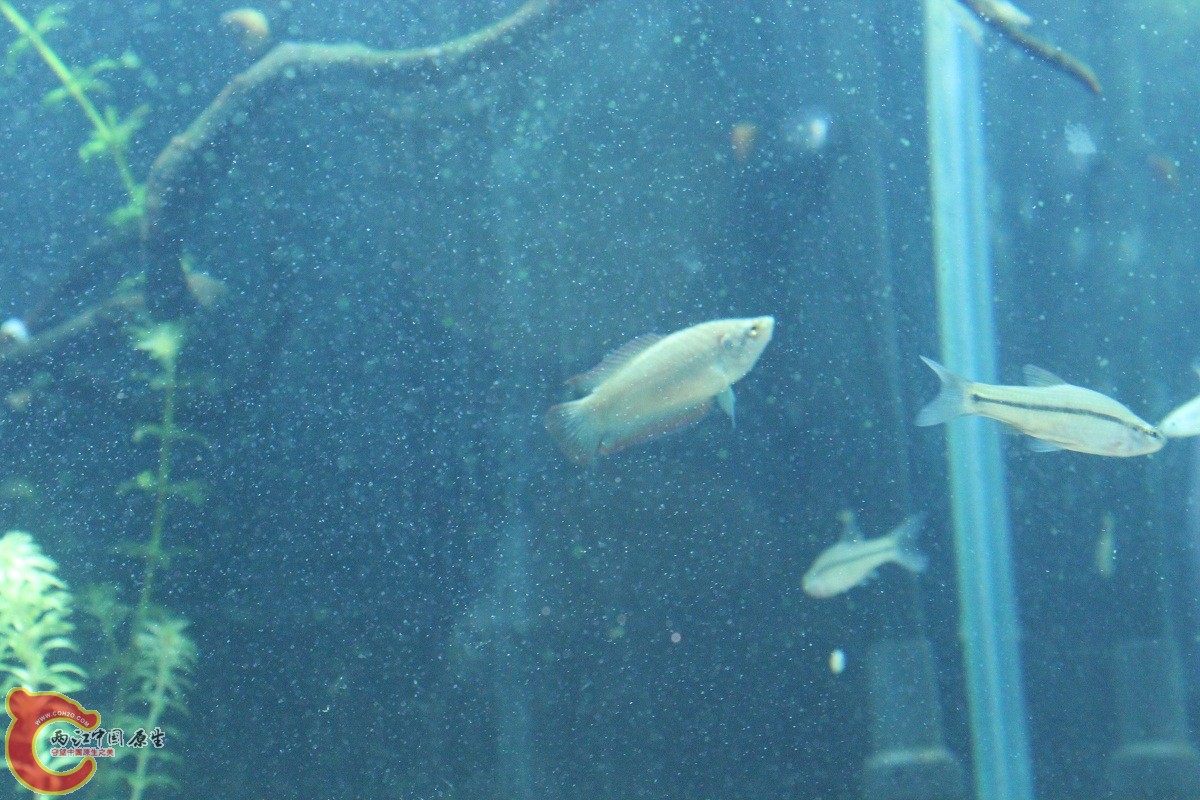 IMG_8283.JPG