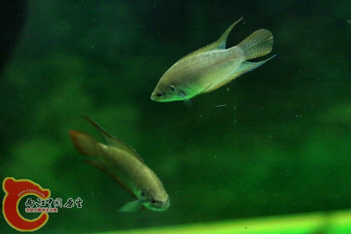IMG_3755.JPG