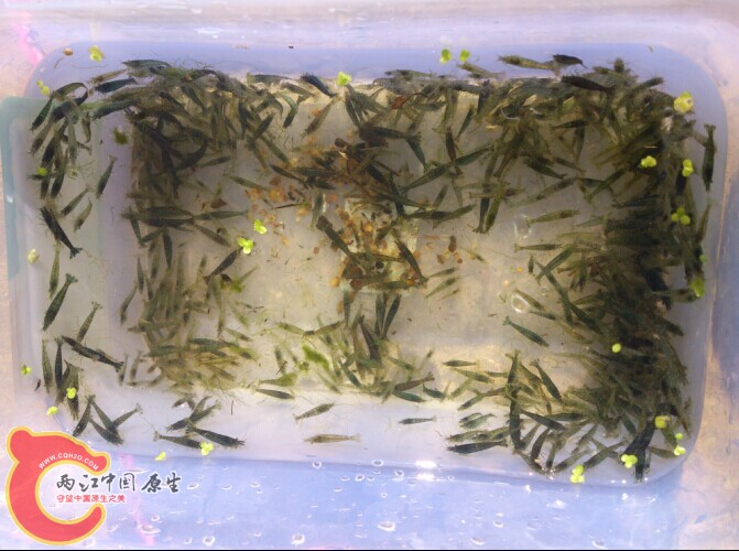 QQ图片20141112010445.jpg