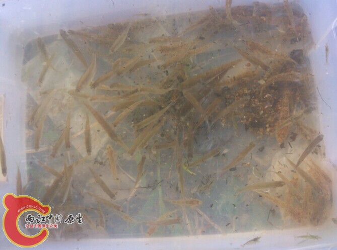 QQ图片20141112010529.jpg
