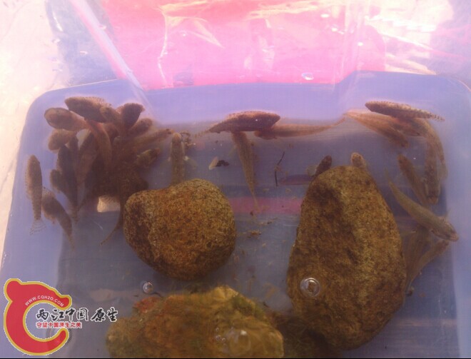 QQ图片20141112011510.jpg
