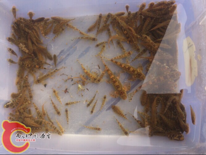 QQ图片20141112010255.jpg