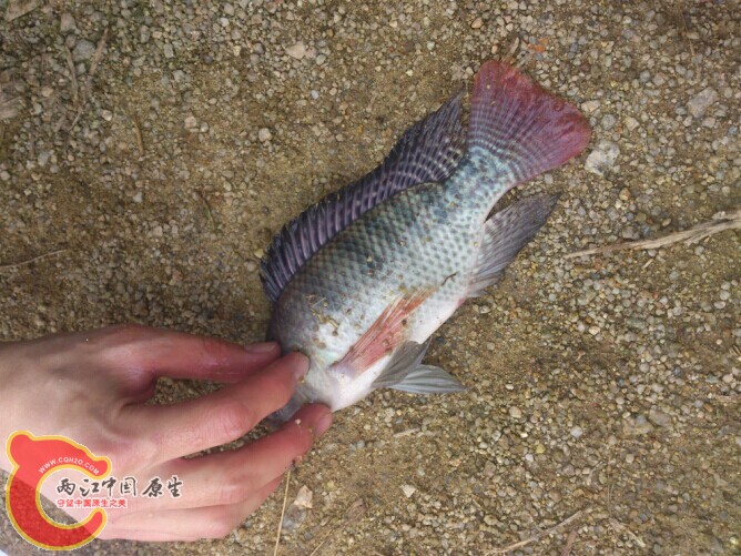 QQ图片20141112010635.jpg