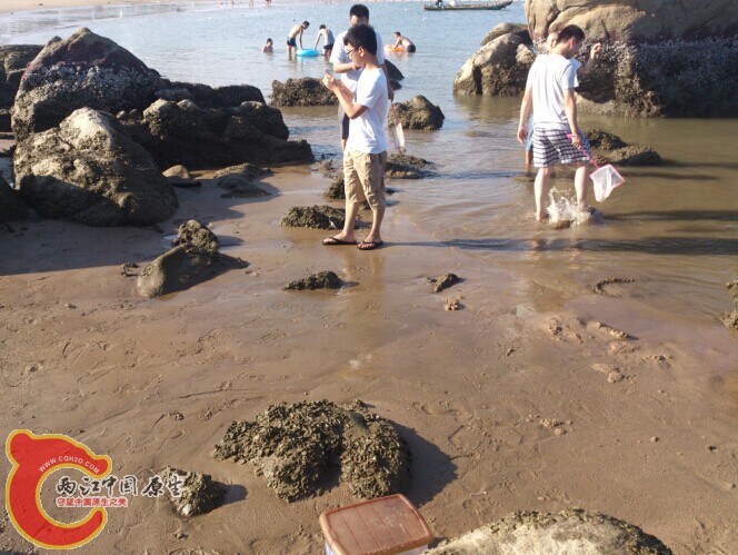 QQ图片20141112010954.jpg