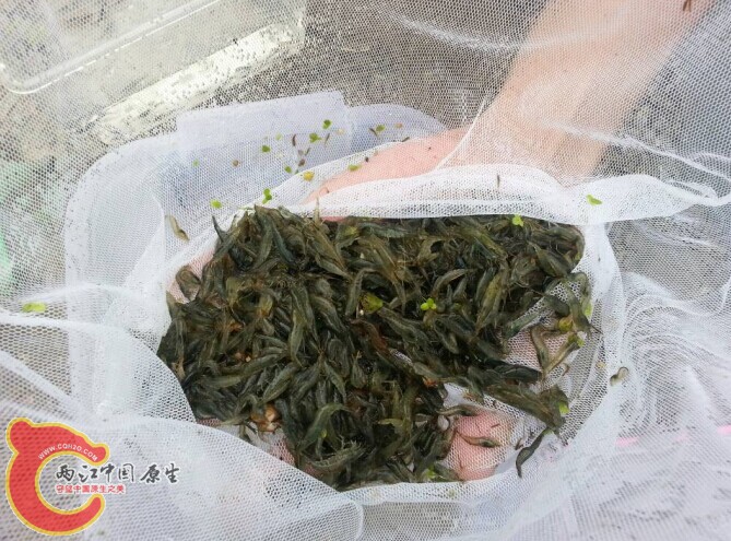 QQ图片20141112011312.jpg