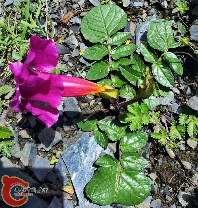 20140627_115339.jpg