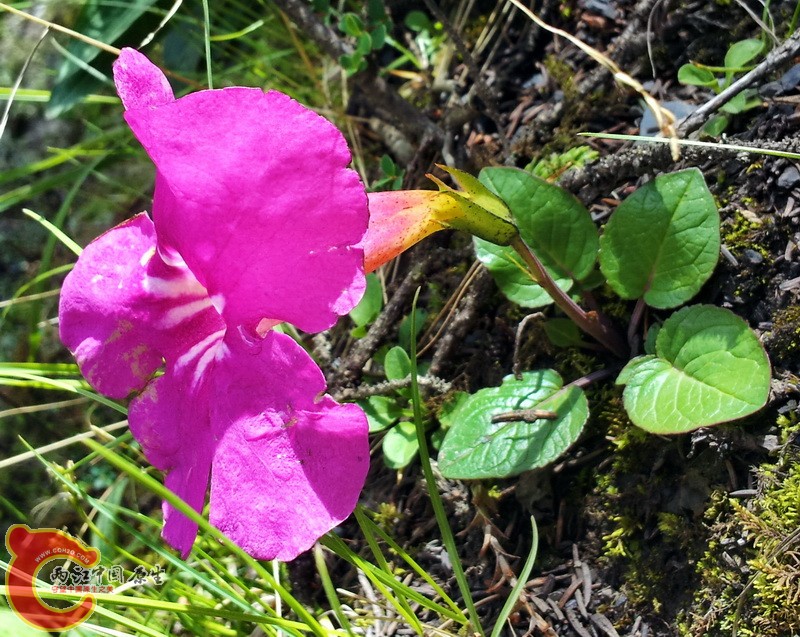 20140627_115411.jpg