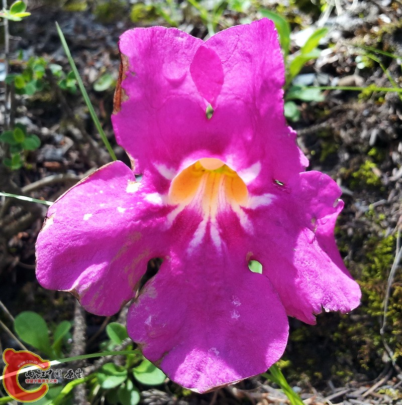 20140627_115425.jpg