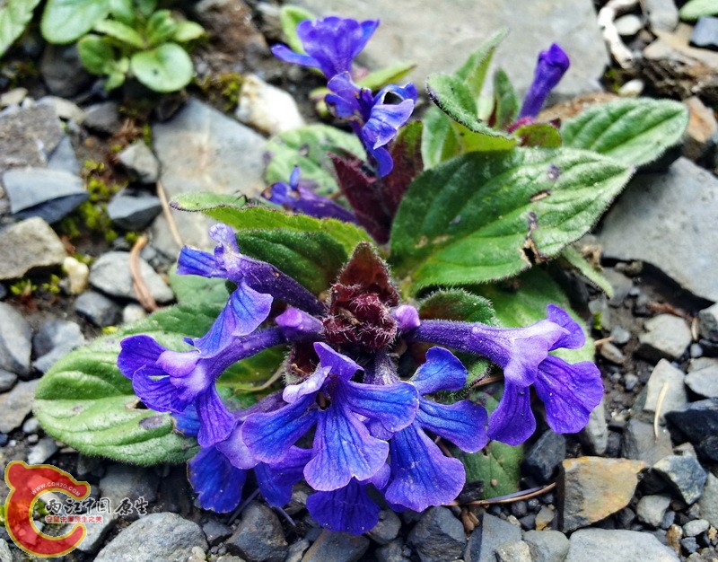 20140627_121550.jpg