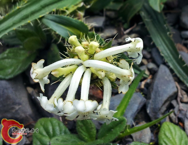 20140627_121559.jpg