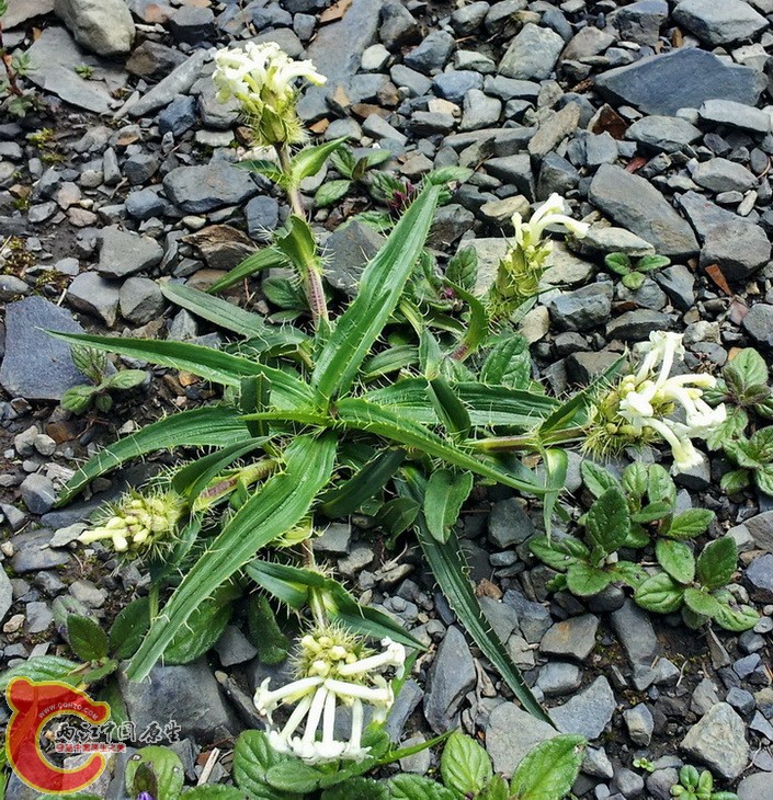 20140627_121605.jpg