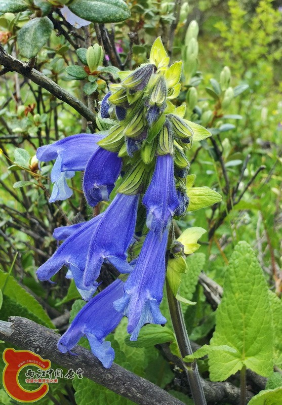 20140627_123758.jpg