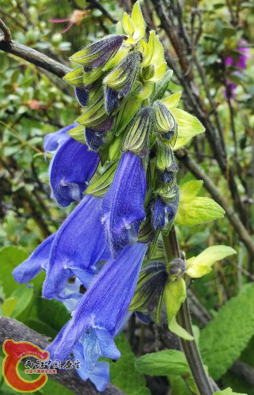 20140627_123804.jpg