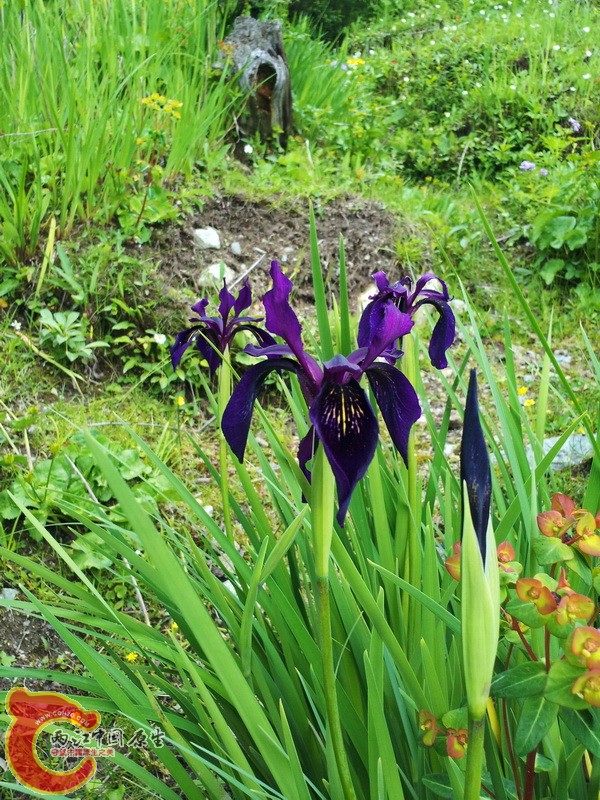 20140626_183336.jpg
