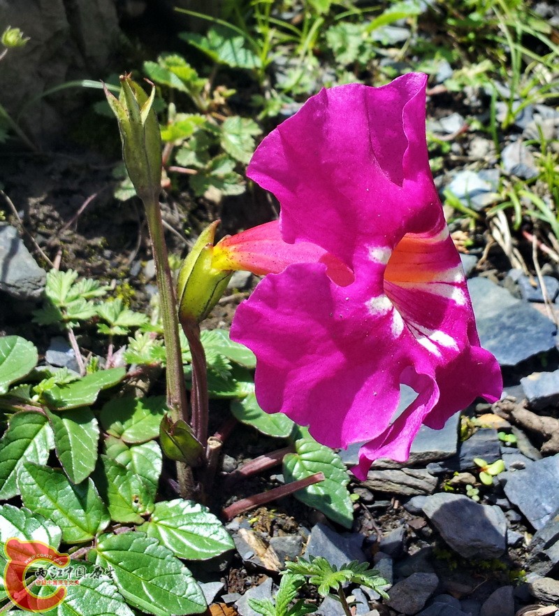 20140627_115323.jpg