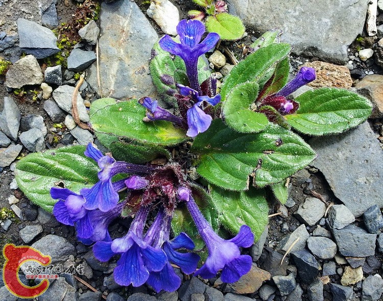20140627_121611.jpg
