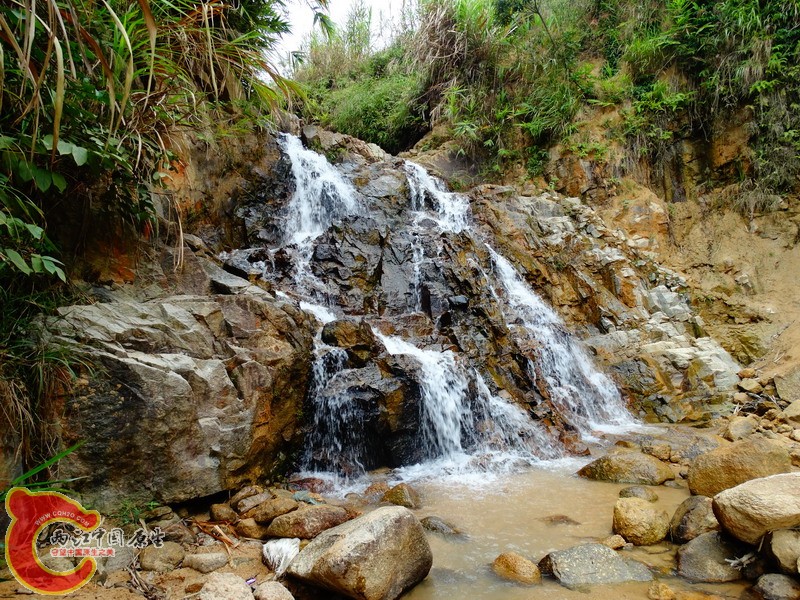 DSC01131.jpg